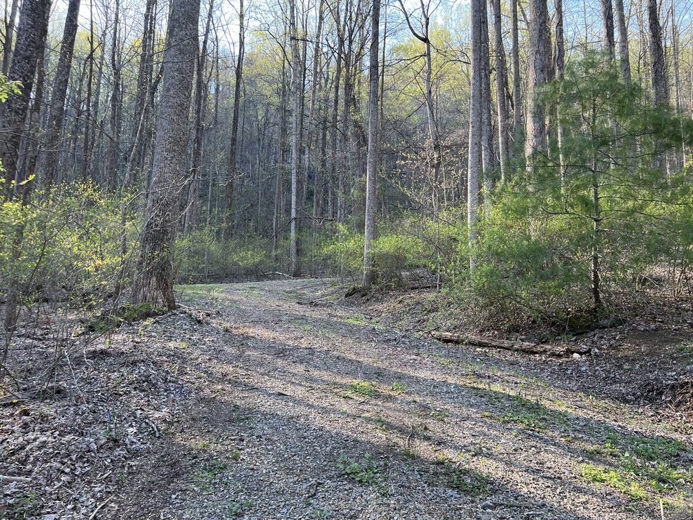 Image for Estate of The Late Jimmy Ray Newman: 3 Lots in Cascade Mountain