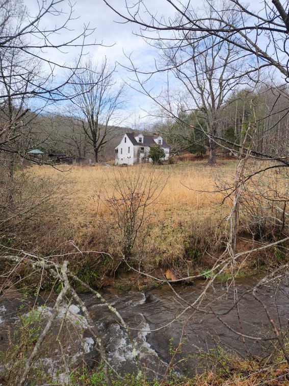 25.00 Acres Off Rye Cove Creek Rd; Rye Cove Hobart Fain LD 
