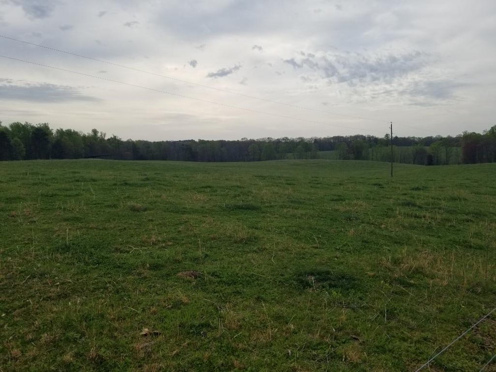 Image for Home & 3 Land Tracts in Stuart, VA