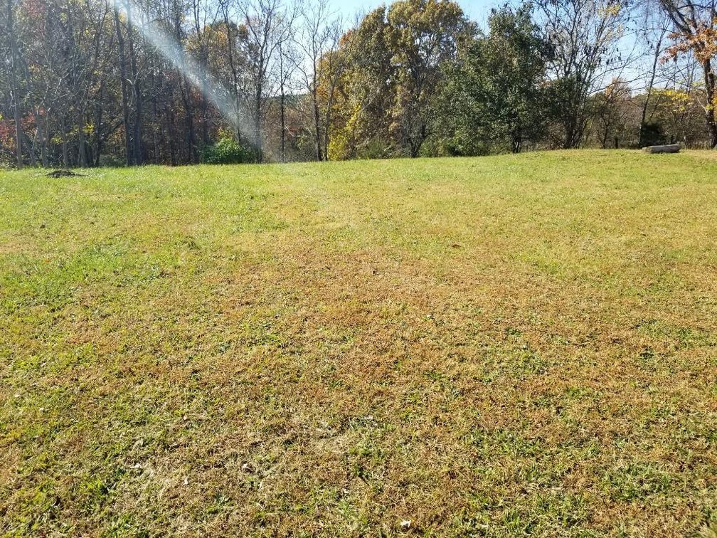 Image for Single Level Home in Ridgeway, VA - Online Only