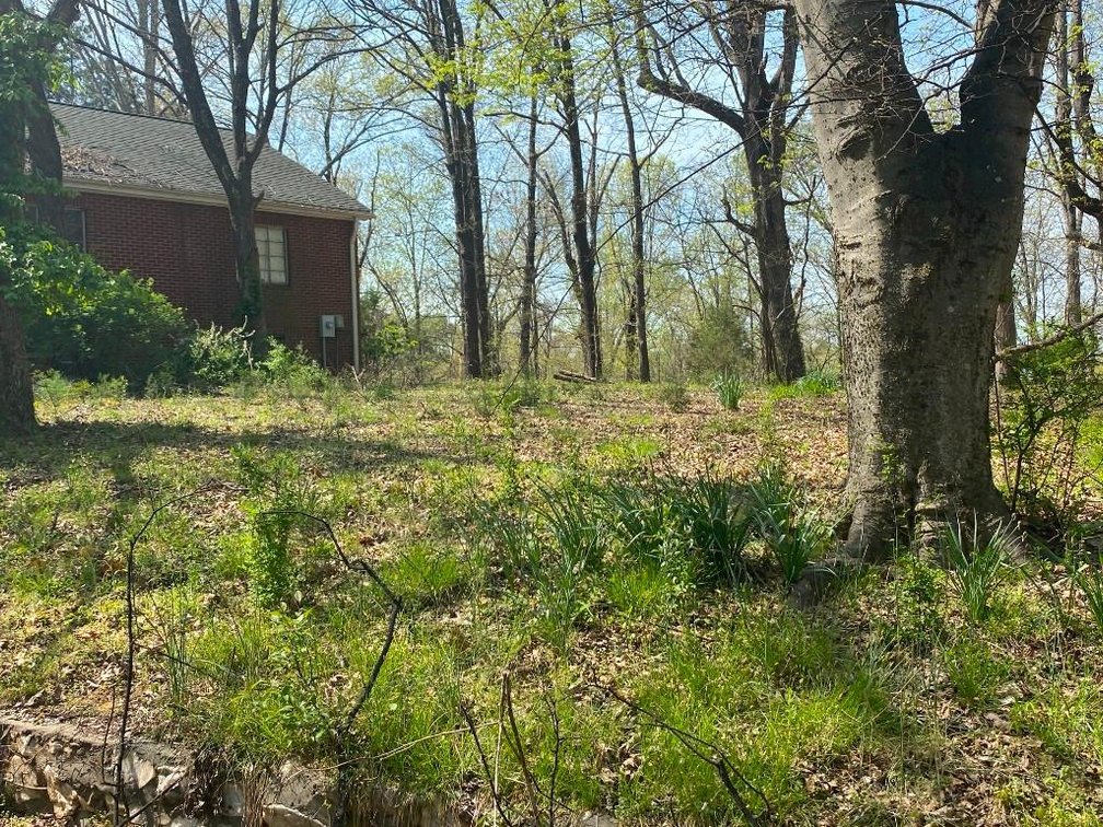 Image for Bankruptcy Auction - Concord, NC - Commercial/Res ±7.28 Acres