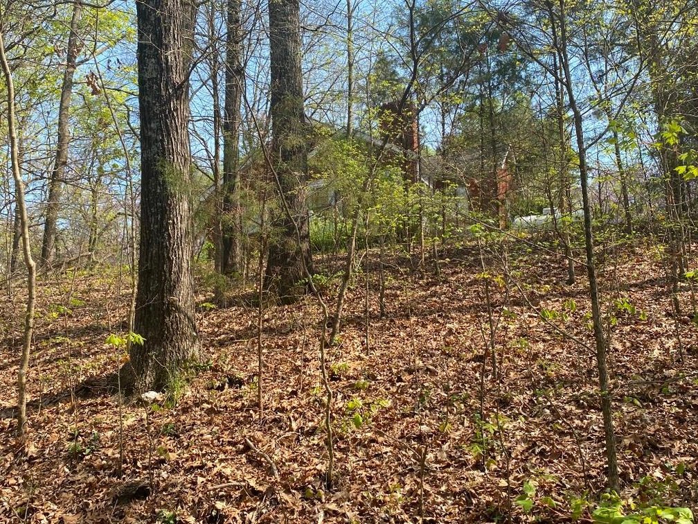 Image for Bankruptcy Auction - Concord, NC - Commercial/Res ±7.28 Acres