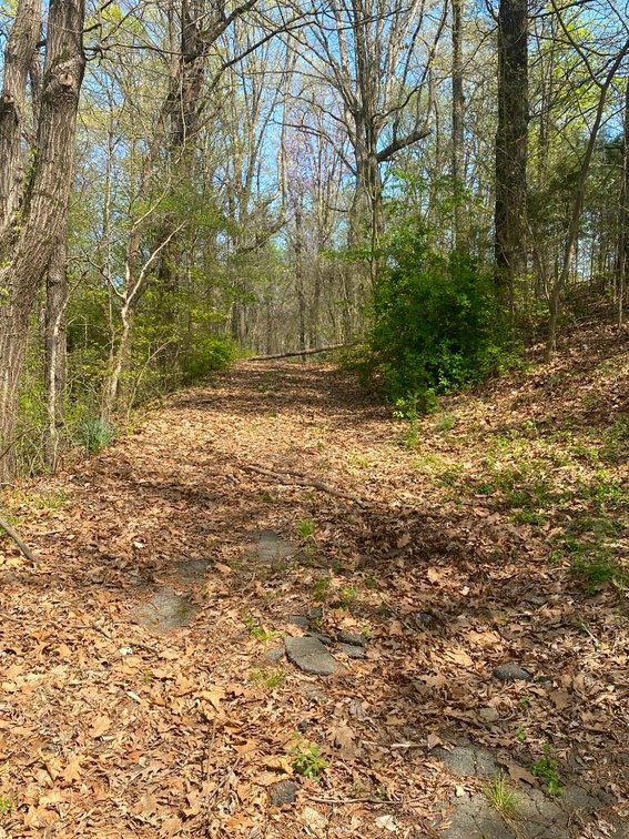 Image for Bankruptcy Auction - Concord, NC - Commercial/Res ±7.28 Acres