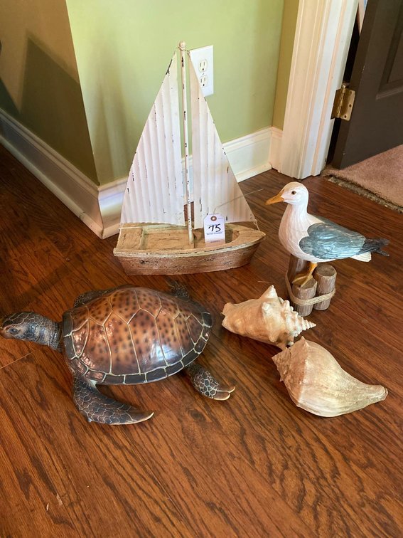 SAILBOAT-TURTLE-SHELLS