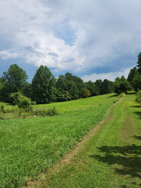 Image for Real Estate Auction - 60± Acres with Farmhouse in Patrick County, VA
