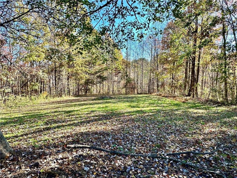 Image for Home For Sale in Pinnacle - 1210 Osborne Joyce Road