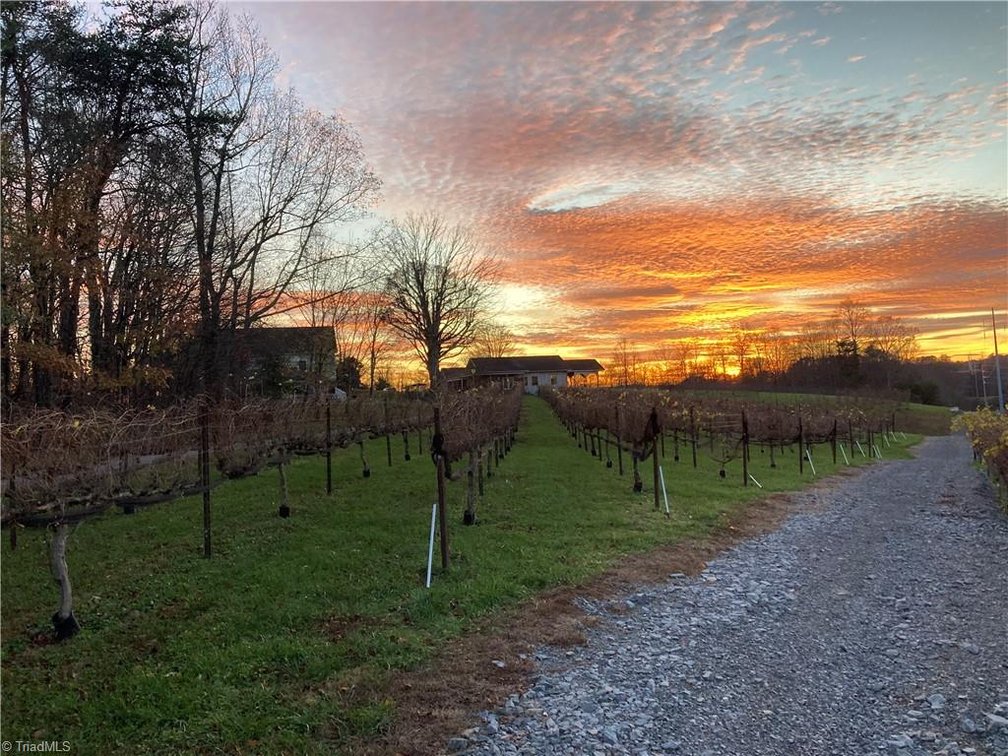 Image for Winery For Sale in Elkin - 171A Heritage Vines Way