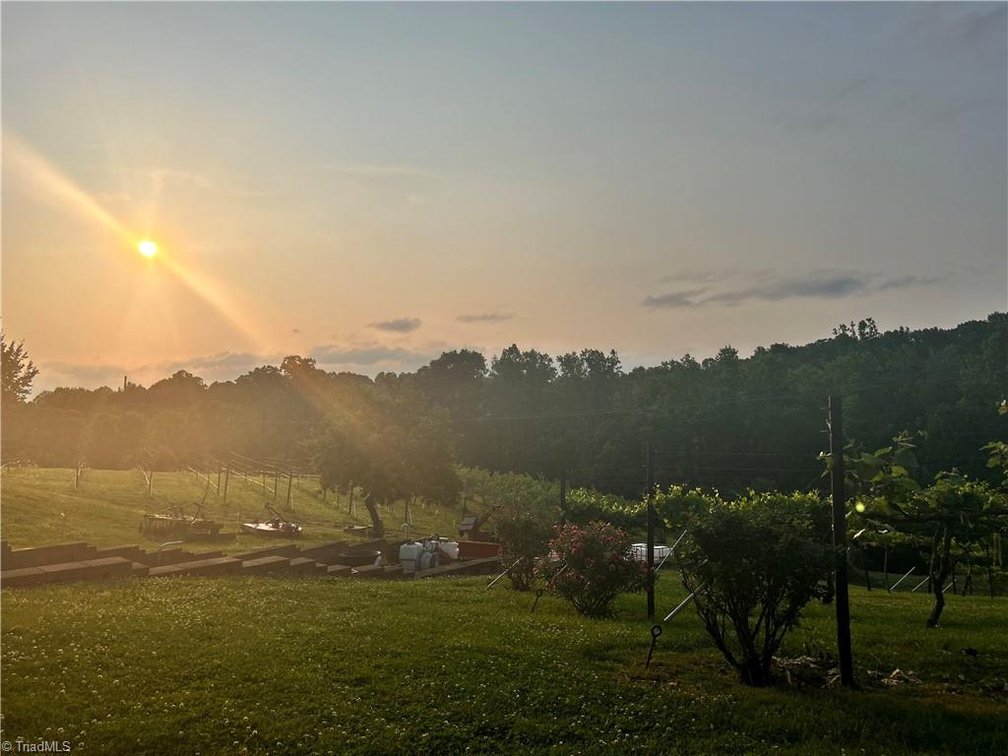 Image for Winery For Sale in Elkin - 171A Heritage Vines Way