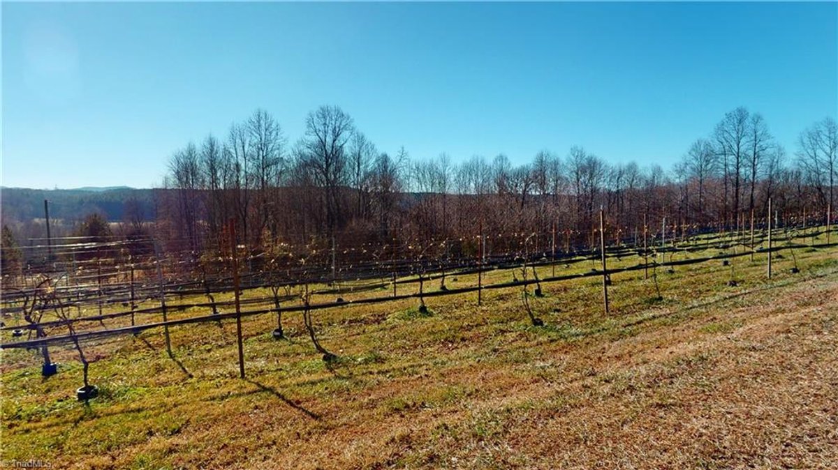 Image for Winery For Sale in Elkin - 171A Heritage Vines Way