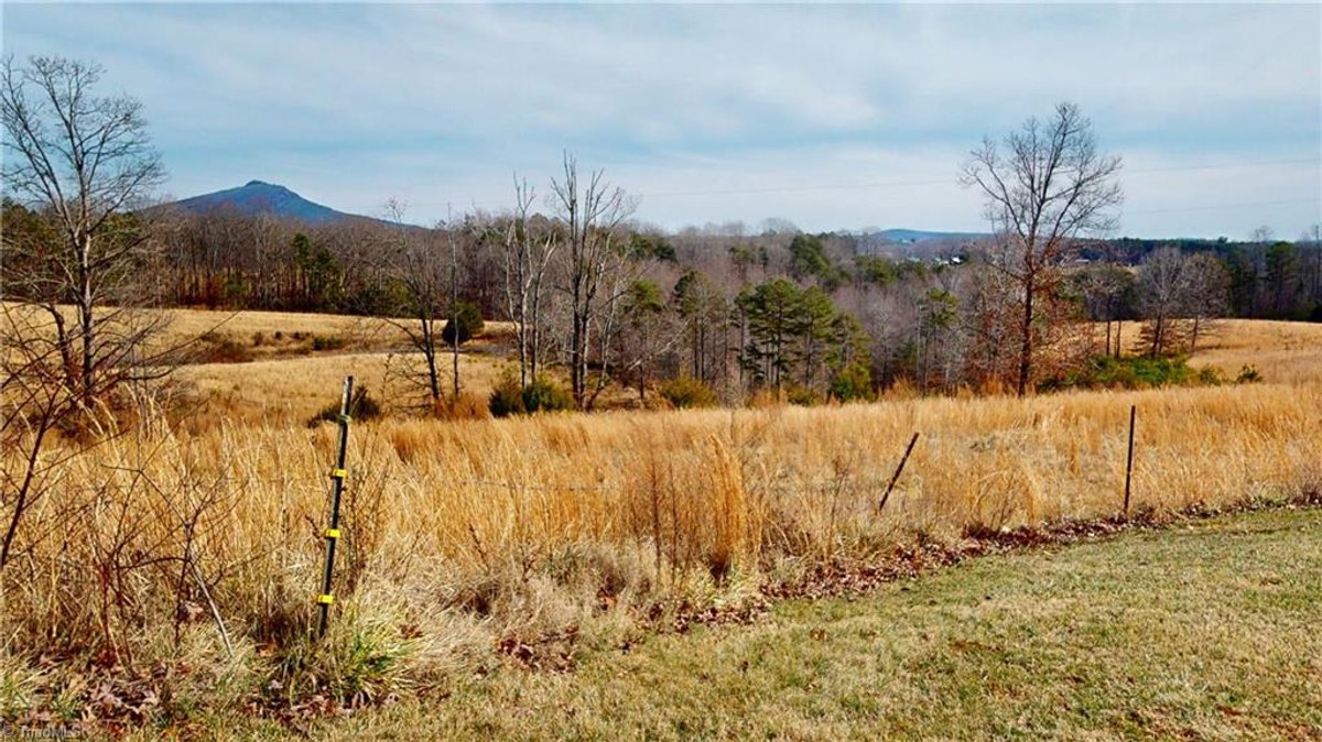 Image for Home For Sale in Pilot Mountain - 163 Nichols Road