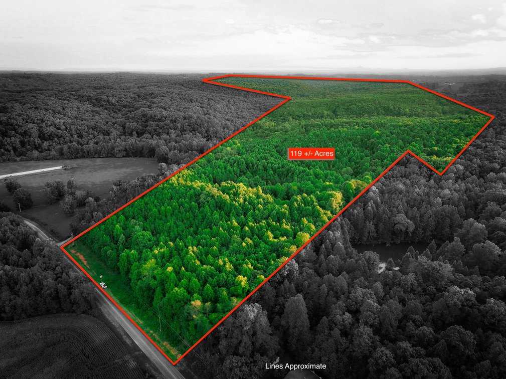 Image for 119± Acre Land Auction