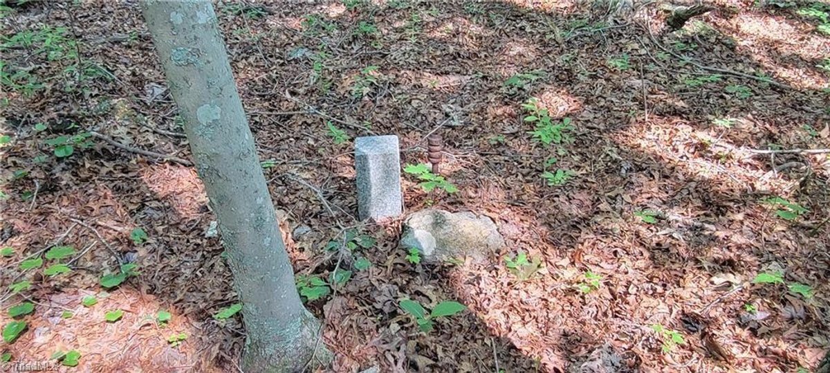 Image for Land for Sale in Mount Airy - 00 E Pine Street