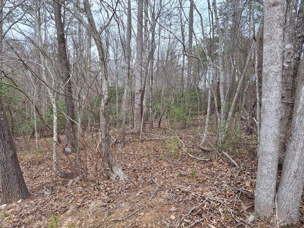 Image for Six Land Parcels in Granite Falls, NC