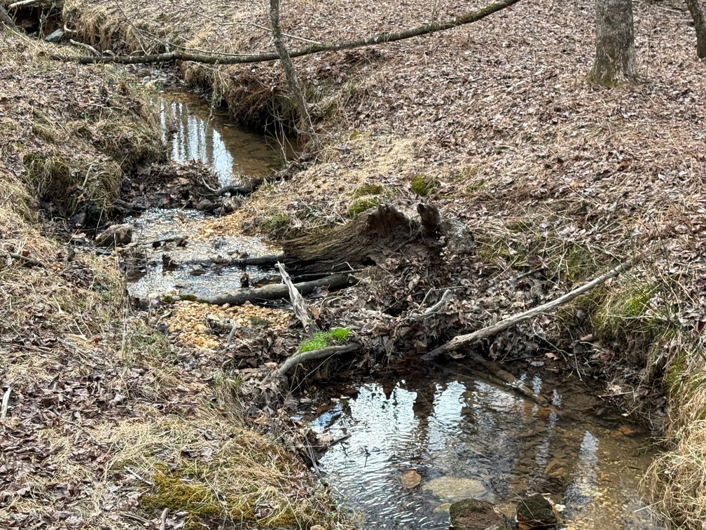 Image for 119± Acre Land Auction