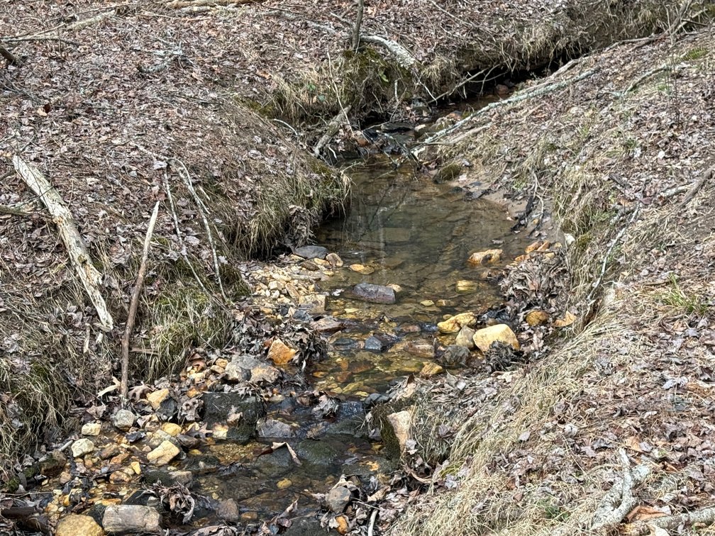 Image for 119± Acre Land Auction