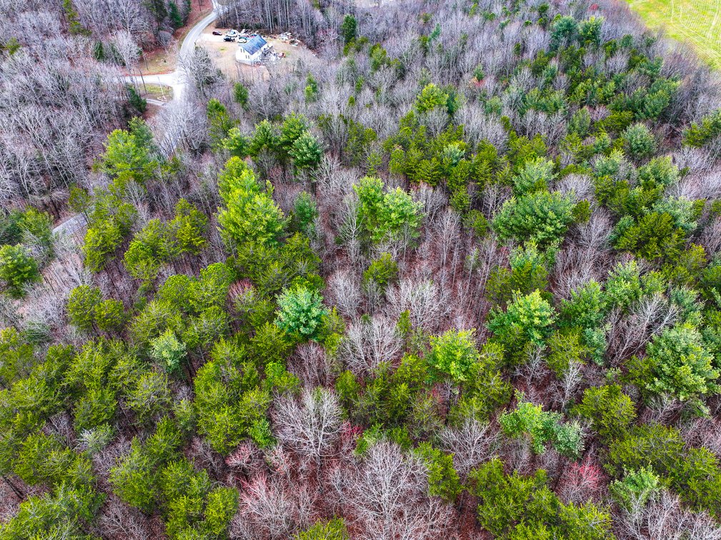 Image for Land For Sale in Dobson - Lot# 12, Fisher Valley Road