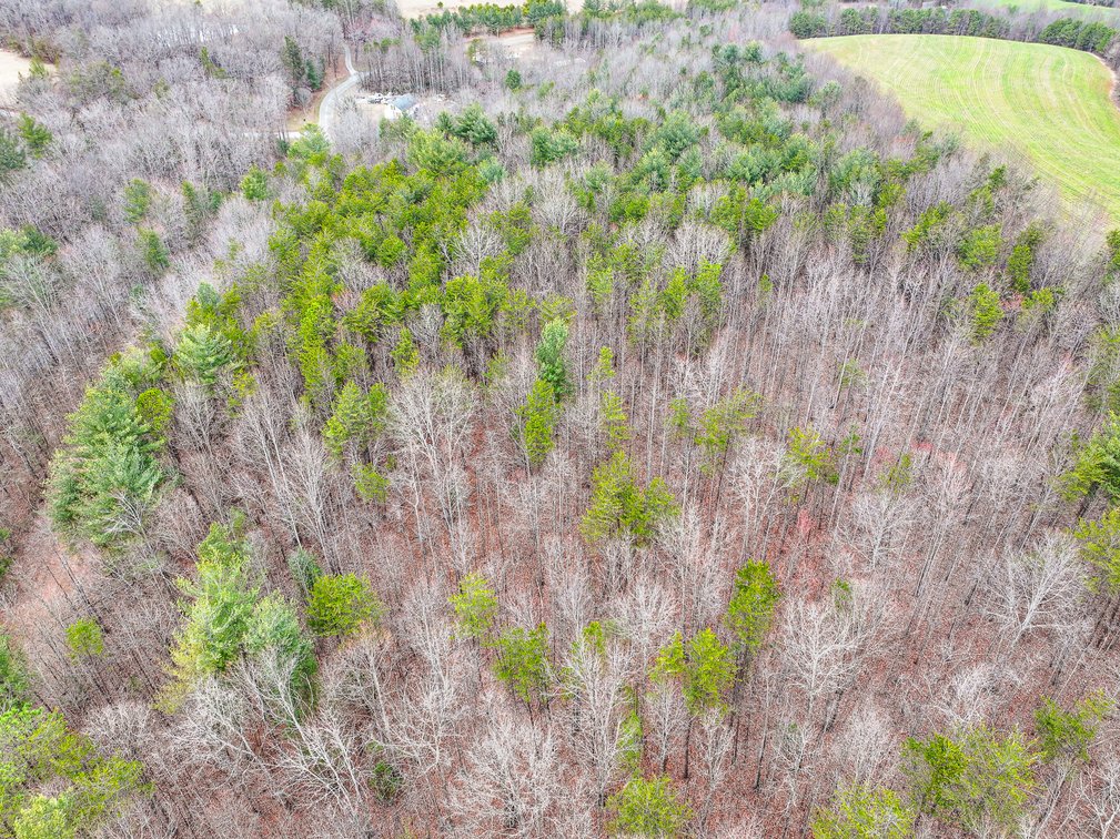 Image for Land For Sale in Dobson - Lot# 12, Fisher Valley Road