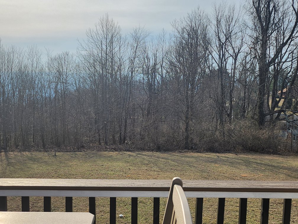 Image for Home For Sale in Fancy Gap, VA - 48 Chateau Lane
