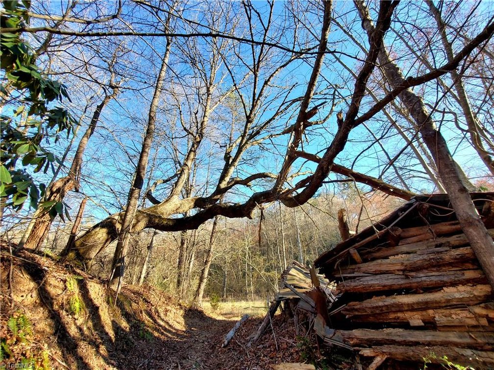 Image for Land For Sale in Dobson - 1373 Fisher Valley Road