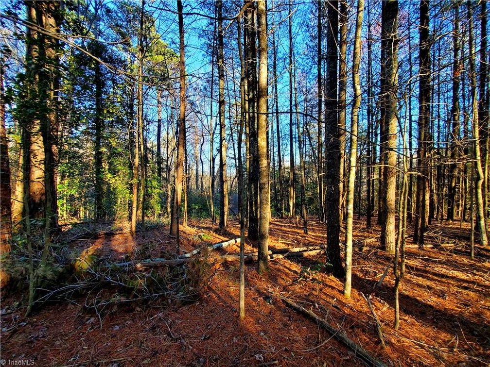Image for Land For Sale in Dobson - 1373 Fisher Valley Road