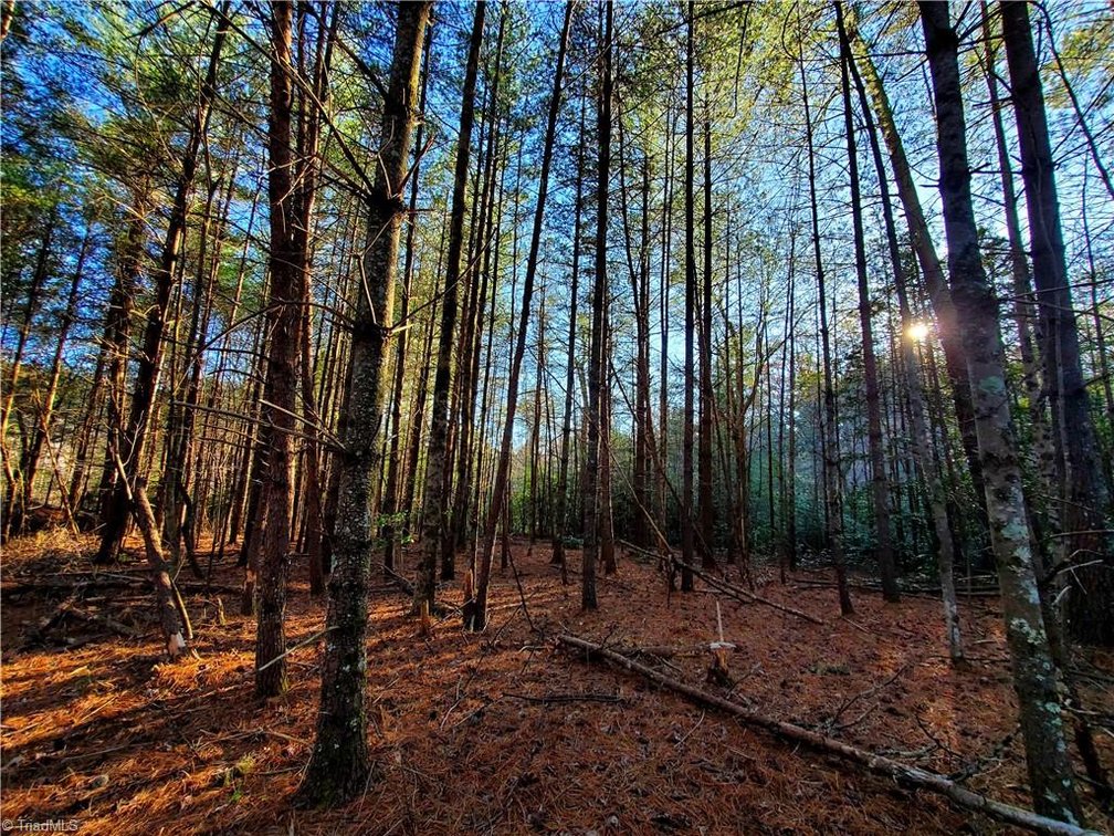 Image for Land For Sale in Dobson - 1373 Fisher Valley Road