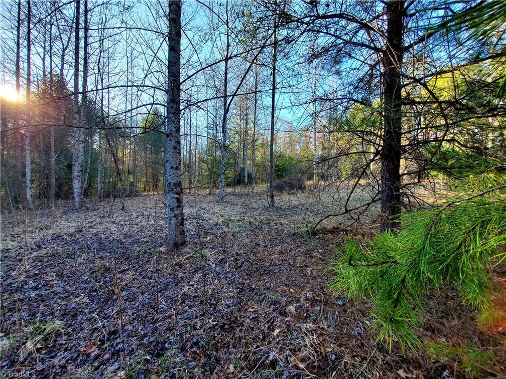 Image for Land For Sale in Dobson - 1373 Fisher Valley Road