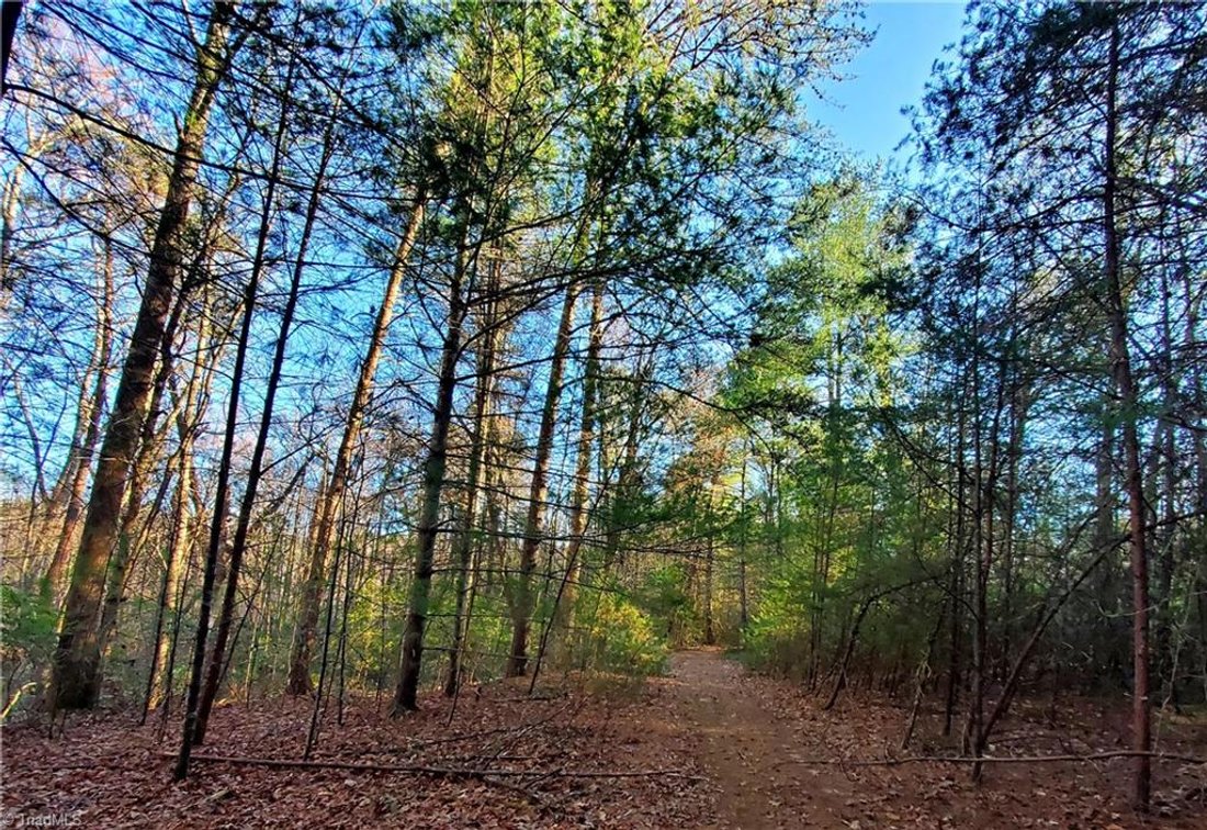 Image for Land For Sale in Dobson - 1373 Fisher Valley Road