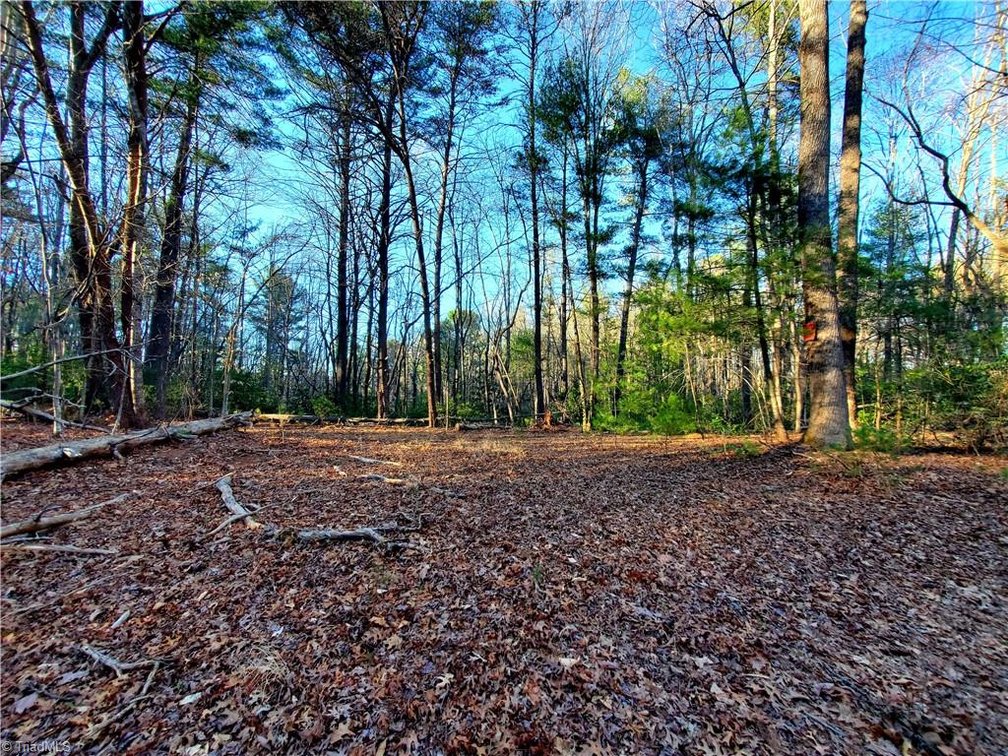 Image for Land For Sale in Dobson - 1373 Fisher Valley Road