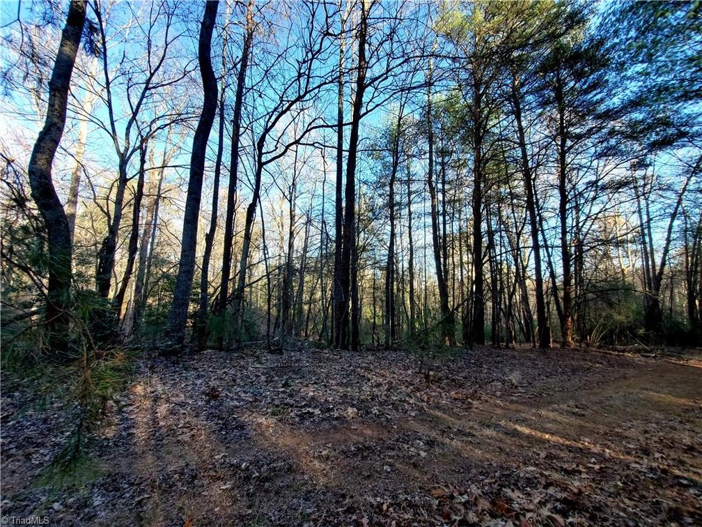 Image for Land For Sale in Dobson - 1373 Fisher Valley Road