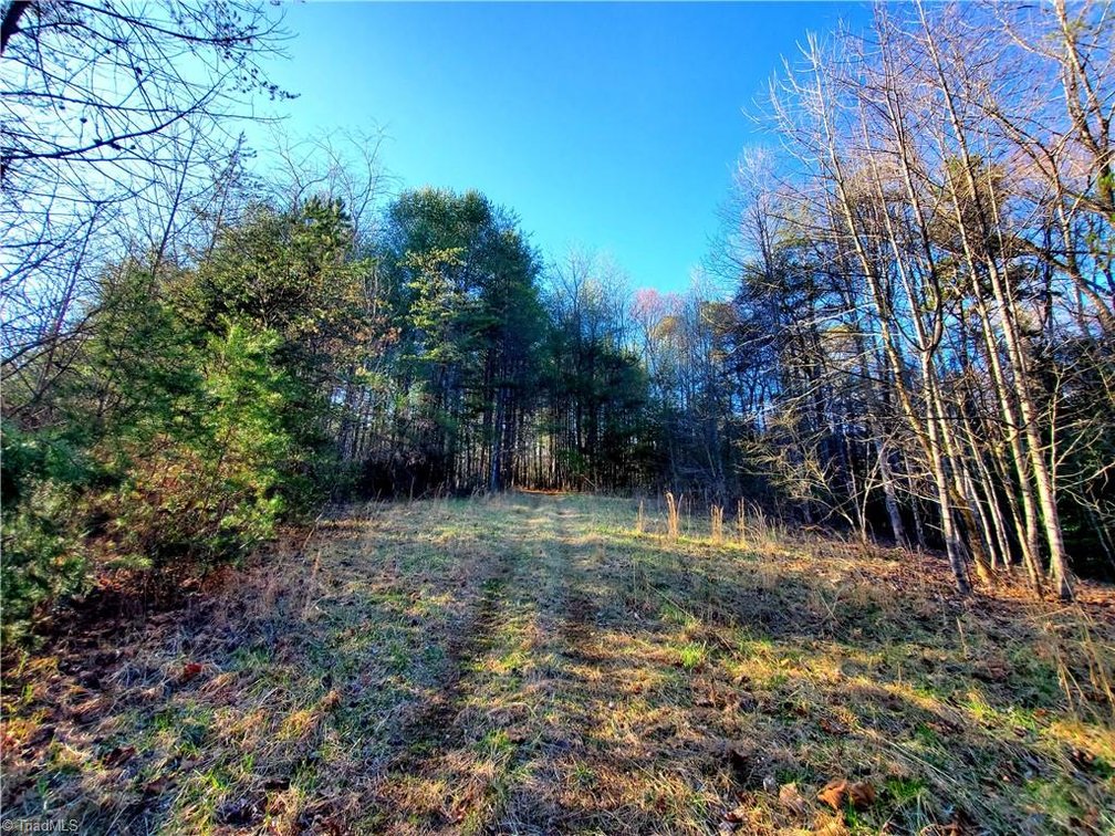 Image for Land For Sale in Dobson - 1373 Fisher Valley Road