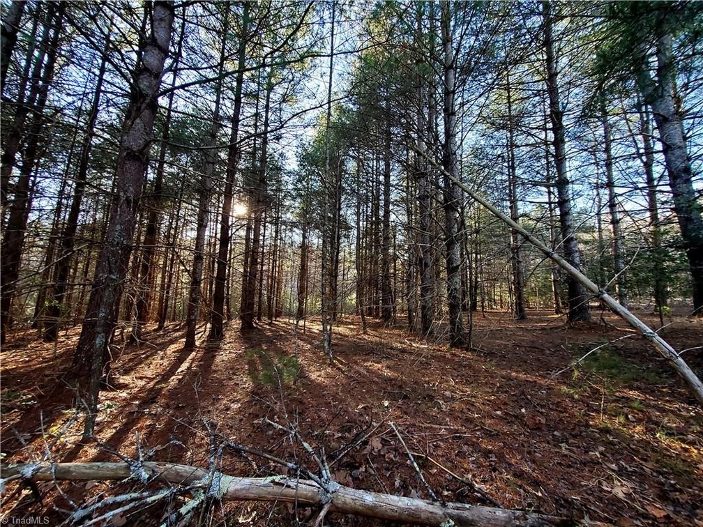 Image for Land For Sale in Dobson - 1373 Fisher Valley Road