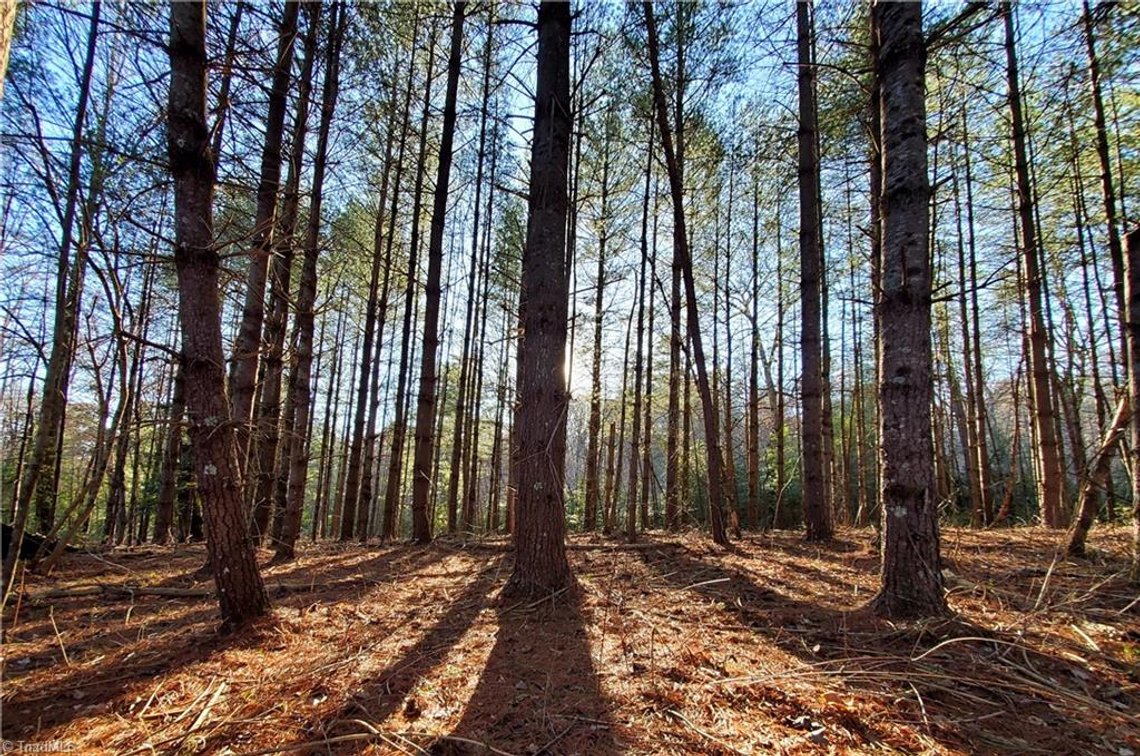 Image for Land For Sale in Dobson - 1373 Fisher Valley Road