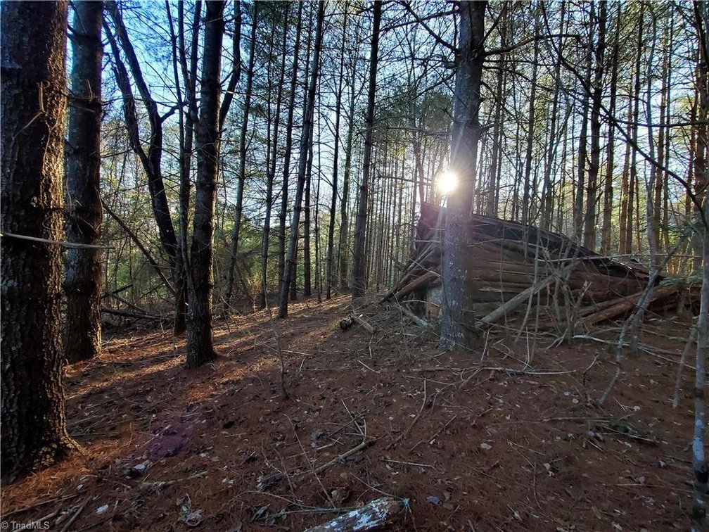 Image for Land For Sale in Dobson - 1373 Fisher Valley Road