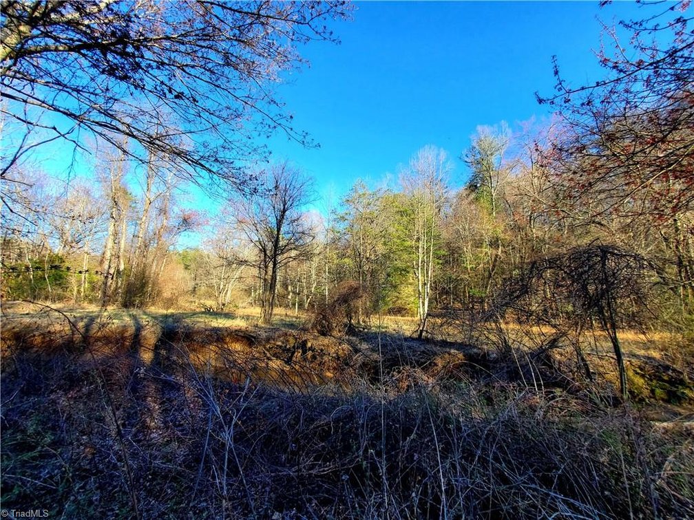 Image for Land For Sale in Dobson - 1373 Fisher Valley Road