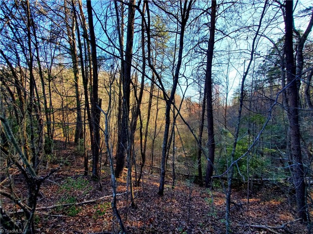 Image for Land For Sale in Dobson - 1373 Fisher Valley Road
