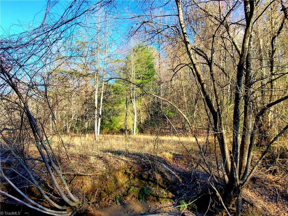 Image for Land For Sale in Dobson - 1373 Fisher Valley Road