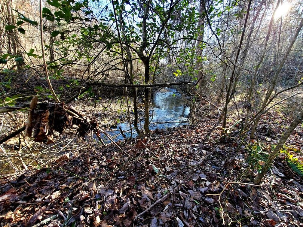 Image for Land For Sale in Dobson - 1373 Fisher Valley Road