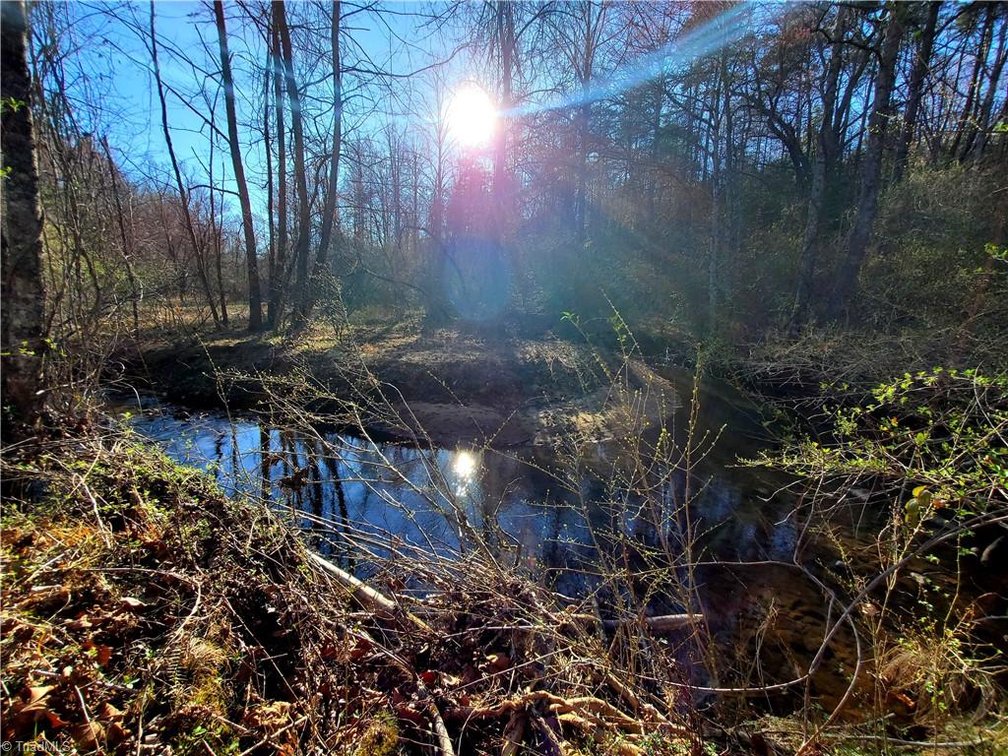 Image for Land For Sale in Dobson - 1373 Fisher Valley Road