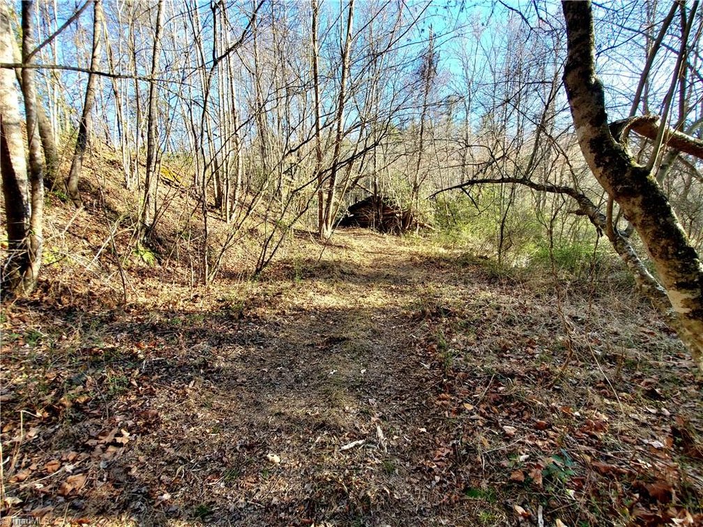 Image for Land For Sale in Dobson - 1373 Fisher Valley Road