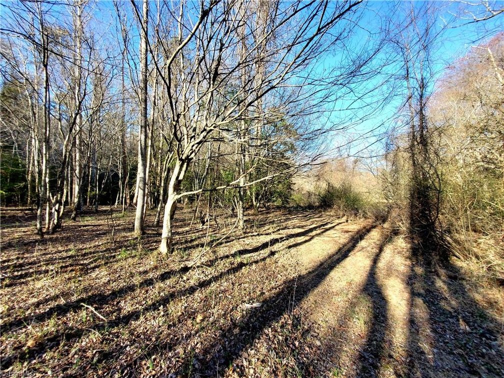 Image for Land For Sale in Dobson - 1373 Fisher Valley Road