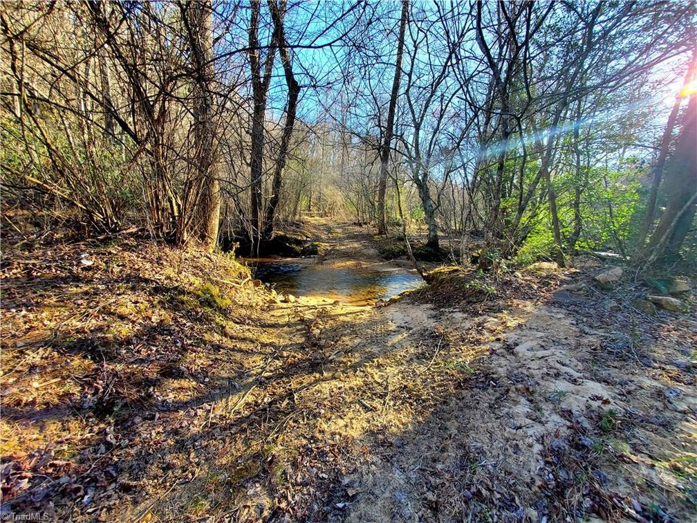 Image for Land For Sale in Dobson - 1373 Fisher Valley Road