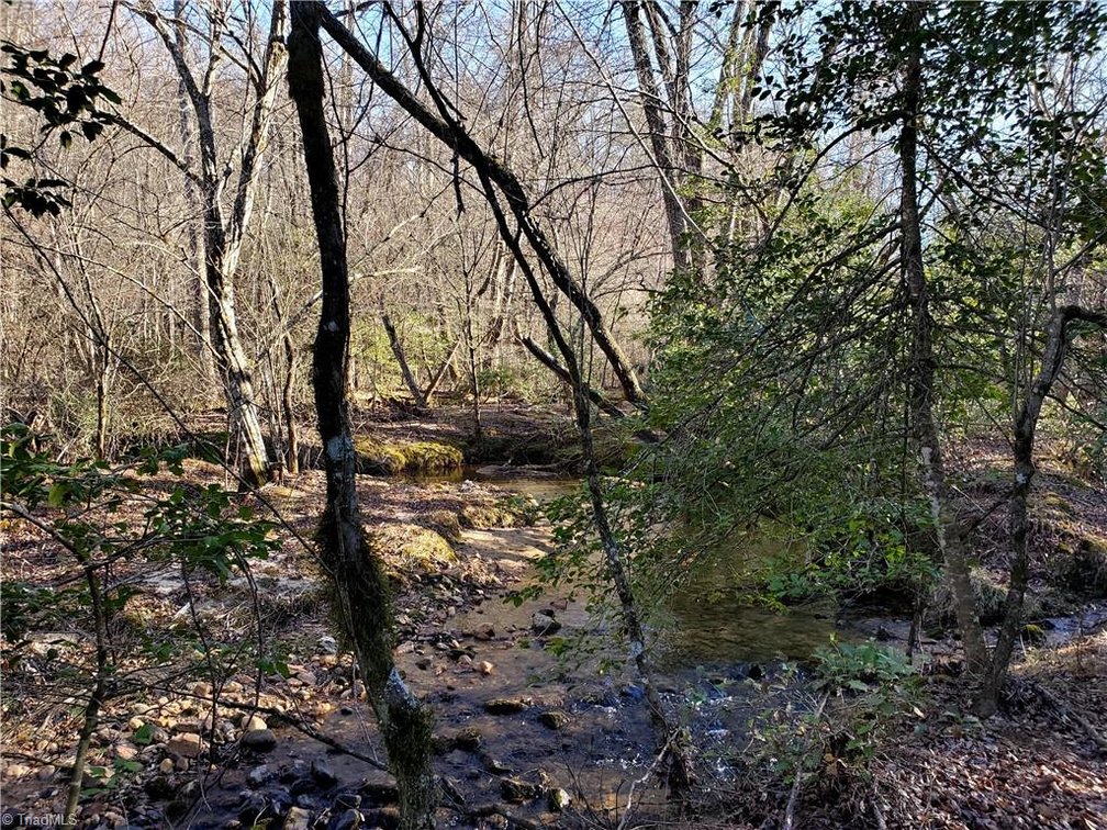 Image for Land For Sale in Dobson - 1373 Fisher Valley Road