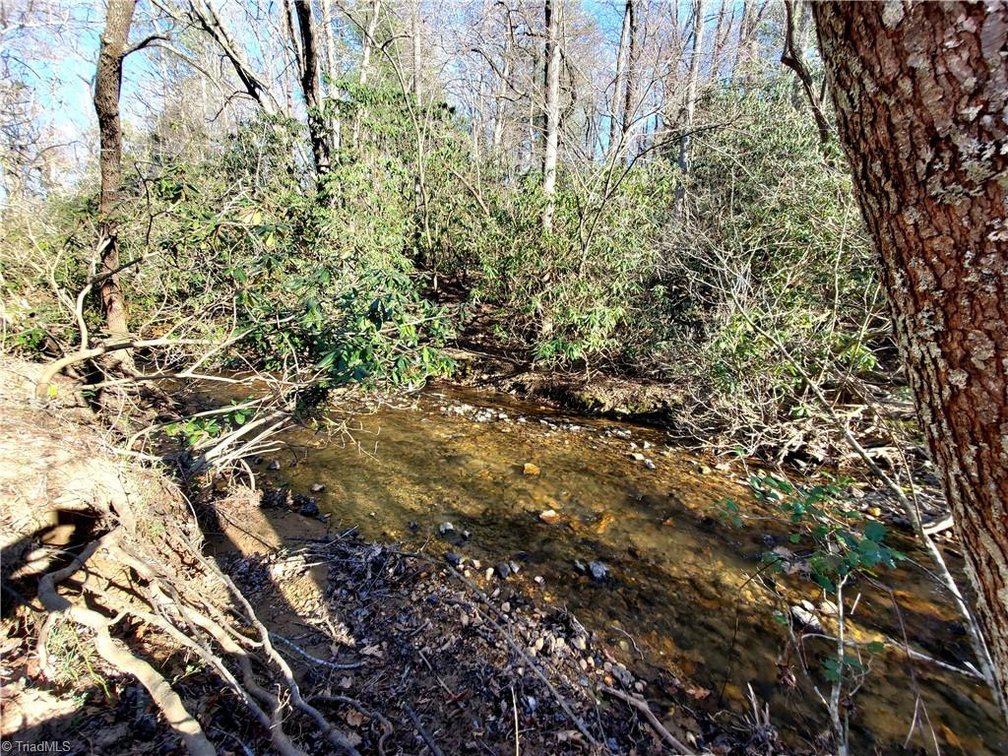 Image for Land For Sale in Dobson - 1373 Fisher Valley Road