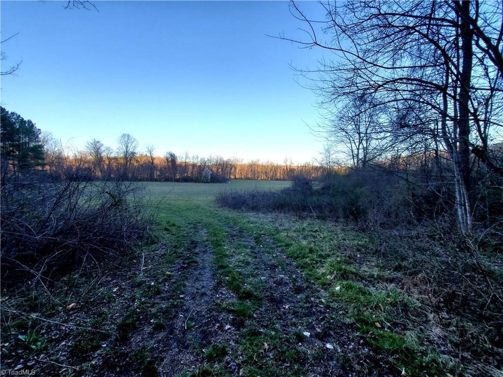 Image for Land For Sale in Dobson - 1373 Fisher Valley Road