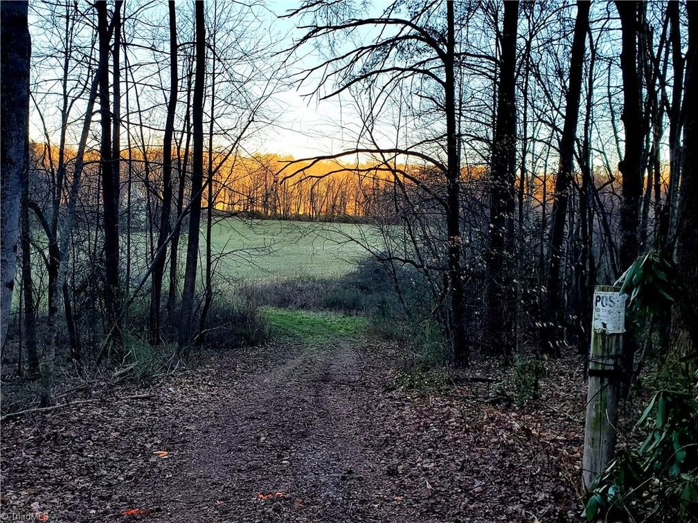 Image for Land For Sale in Dobson - 1373 Fisher Valley Road