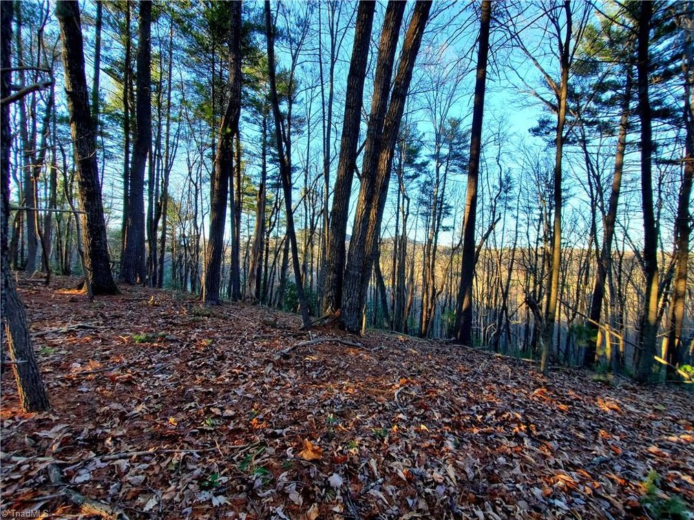 Image for Land For Sale in Dobson - 1373 Fisher Valley Road