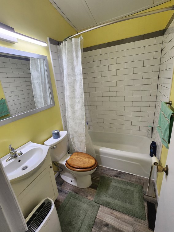 Image for Home For Sale in Fancy Gap, Virginia - 354 Mountaineer Way