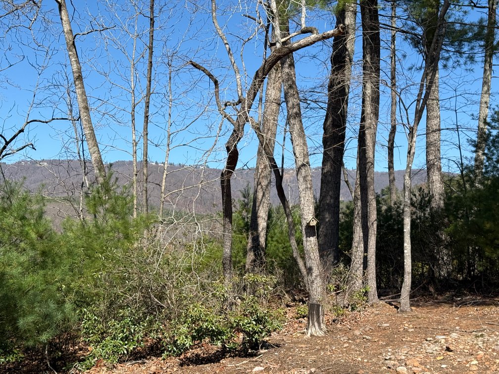 Image for Secluded Mountain View Escape Auction