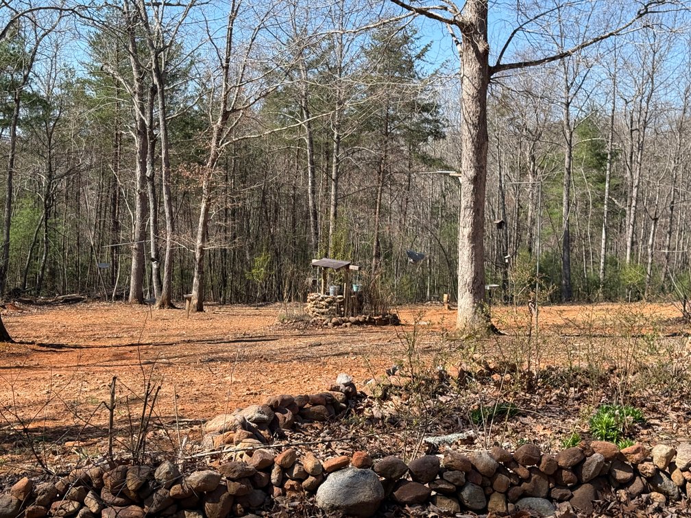 Image for Secluded Mountain View Escape Auction