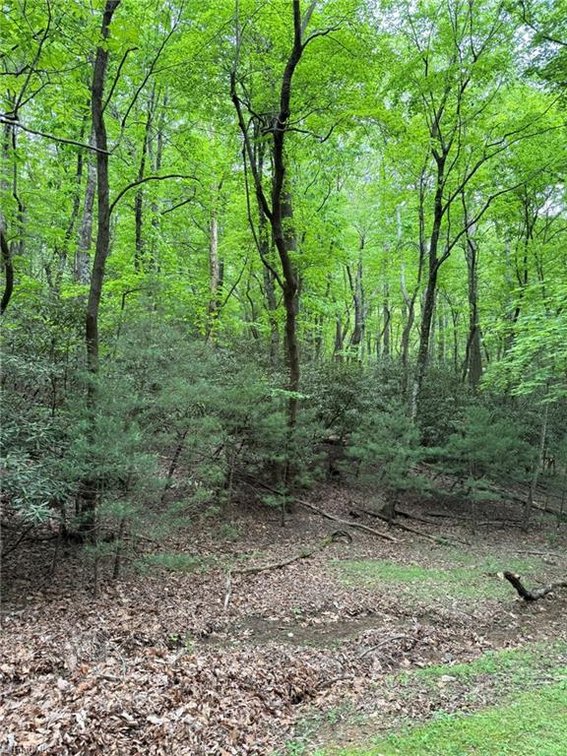 Image for Land For Sale in Lowgap - Lot 35, Baldwin Drive